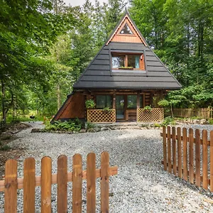 Chałubińskiego 41 Domek alpejski Zakopane